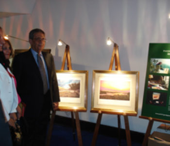 Painting & Patronage exhibits at Royal Film Première of ARABIA 3D